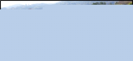 1577420980519694.jpg 4.jpg